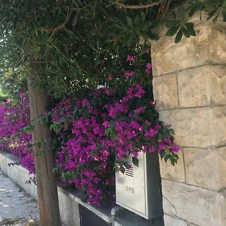 Sole * בארי