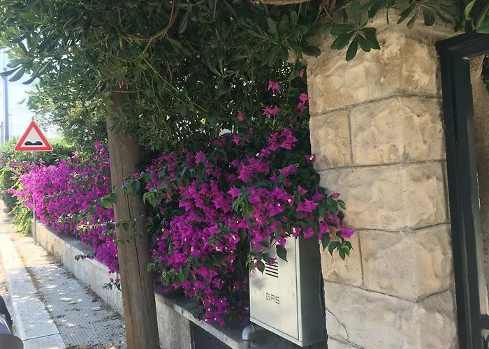 Sole * בארי