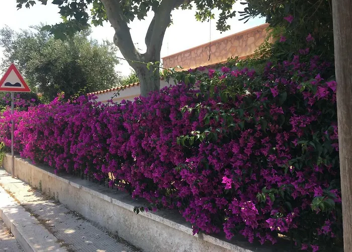 Sole Villa *