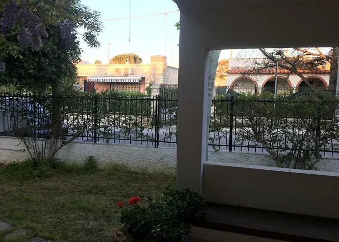 Sole